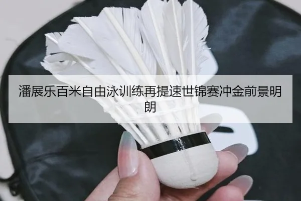 潘展乐百米自由泳训练再提速世锦赛冲金前景明朗 | zotysports